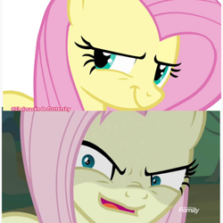 Size: 2048x2048 | Tagged: safe, artist:flutteryaylove, imported from derpibooru, screencap, fluttershy, pegasus, pony, discovery family, discovery family logo, evil fluttershy, logo