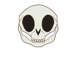 Size: 1024x777 | Tagged: safe, artist:karlosbaygorriakb, edit, editor:aborrozakale, imported from derpibooru, vector edit, pony, simple background, skull, solo, transparent background, vector