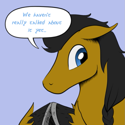 Size: 659x659 | Tagged: safe, artist:darkhestur, imported from derpibooru, oc, oc:dark, pony, braid, horseshoes, looking down, simple background, speech bubble