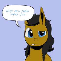 Size: 659x659 | Tagged: safe, artist:darkhestur, imported from derpibooru, oc, oc:dark, pony, braid, concerned, looking at you, speech bubble