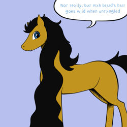 Size: 659x659 | Tagged: safe, artist:darkhestur, imported from derpibooru, oc, oc:dark, pony, long mane, looking at you, simple background, speech bubble, wavy mane