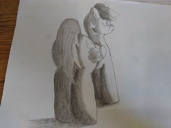 Size: 4608x3456 | Tagged: safe, artist:acid flask, imported from derpibooru, dark moon, graphite, rainbow dash, pegasus, pony, art dump, butt, drawing, female, mare, paper, plot, shading, shadow, sketch, sketch dump, solo, traditional art