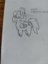 Size: 4608x3456 | Tagged: safe, artist:acid flask, imported from derpibooru, oc, oc only, pegasus, pony, art dump, female, happy, mare, paper, pegasus oc, pointy ponies, sketch, sketch dump, sketchbook, small, smiling, traditional art, wings