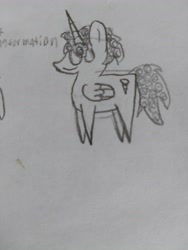 Size: 4608x3456 | Tagged: safe, artist:acid flask, imported from derpibooru, dark moon, graphite, oc, alicorn, pony, alicorn oc, art dump, horn, male, paper, pointy ponies, sketch, sketch dump, sketchbook, small, wings