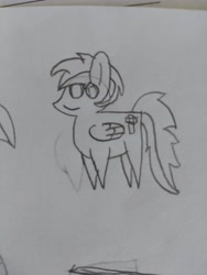 Size: 4608x3456 | Tagged: safe, artist:acid flask, imported from derpibooru, oc, oc only, pegasus, pony, 2d, art dump, female, graph paper, looking at you, mare, paper, pegasus oc, pointy ponies, sketch, sketch dump, smiling, traditional art