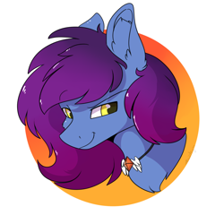 Size: 2000x2000 | Tagged: safe, artist:aurorafang, imported from derpibooru, oc, oc only, pegasus, pony, jewelry, male, necklace, pegasus oc, smiling, smirk, stallion