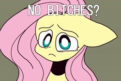 Size: 3000x2000 | Tagged: safe, artist:itssummerok, imported from derpibooru, fluttershy, pegasus, pony, caption, female, meme, no bitches?, simple background, solo, text, vulgar