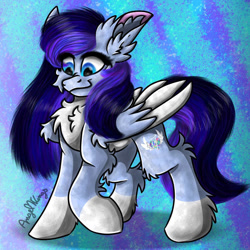 Size: 894x894 | Tagged: safe, artist:angelwingsmlpfim, imported from derpibooru, oc, pegasus, pony, chest fluff, colored wings, colored wingtips, fluffy, solo, two toned wings, wings