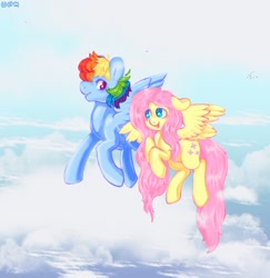 Size: 1529x1573 | Tagged: safe, artist:plushplague, imported from derpibooru, fluttershy, rainbow dash, bird, pegasus, pony, cloud, duo, duo female, female, floppy ears, flutterdash, flying, grin, lesbian, looking at each other, looking at someone, mare, open mouth, open smile, shipping, signature, sky, smiling, spread wings, wings