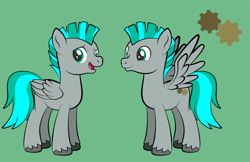 Size: 1920x1246 | Tagged: safe, artist:alexdti, imported from derpibooru, oc, oc only, pegasus, pony, folded wings, full body, green background, hooves, male, open mouth, open smile, pegasus oc, simple background, smiling, solo, spread wings, stallion, standing, tail, two toned mane, two toned tail, unshorn fetlocks, wings