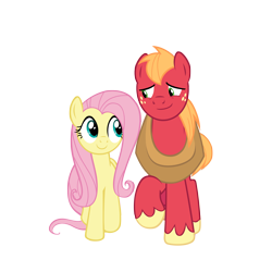 Size: 2250x2250 | Tagged: safe, anonymous artist, imported from derpibooru, big macintosh, fluttershy, earth pony, pegasus, pony, the perfect pear, duo, female, fluttermac, high res, looking at each other, looking at someone, male, mare, shipping, simple background, smiling, smiling at each other, stallion, straight, transparent background, vector