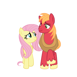 Size: 2250x2250 | Tagged: safe, anonymous artist, imported from derpibooru, big macintosh, fluttershy, earth pony, pegasus, pony, the perfect pear, blushing, female, fluttermac, high res, lidded eyes, looking at each other, looking at someone, male, mare, shipping, simple background, smiling, smiling at each other, stallion, straight, transparent background, vector, walking