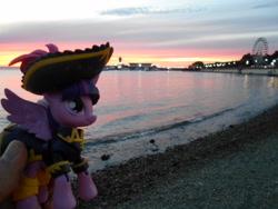 Size: 5152x3864 | Tagged: safe, artist:lightdragon1988, imported from derpibooru, twilight sparkle, alicorn, pony, beach, female, ferris wheel, irl, ocean, photo, pirate twilight, ponies around the world, russia, solo, toy, twilight sparkle (alicorn), vladivostok, water