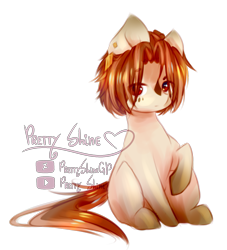 Size: 2021x2230 | Tagged: safe, artist:prettyshinegp, imported from derpibooru, oc, oc only, earth pony, pony, earth pony oc, male, raised hoof, simple background, solo, stallion, transparent background