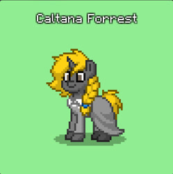 Size: 557x560 | Tagged: safe, imported from derpibooru, oc, oc only, oc:caltana forrest, pony, unicorn, pony town, braid, clothes, green background, simple background, skirt, solo
