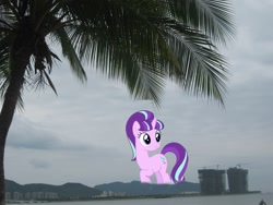 Size: 1600x1200 | Tagged: safe, edit, imported from derpibooru, starlight glimmer, pony, unicorn, china, cloud, cloudy, coconut, coconut tree, female, food, giant pony, giantess, highrise ponies, irl, macro, mare, palm tree, photo, ponies in real life, s5 starlight, sanya, solo, tree