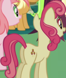 Size: 389x463 | Tagged: safe, imported from derpibooru, screencap, apple bumpkin, earth pony, pony, friendship is magic, apple family member, background character, background pony, butt, cropped, female, mare, plot