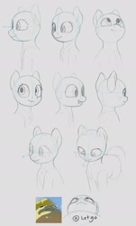 Size: 1588x2632 | Tagged: safe, artist:zippysqrl, imported from derpibooru, pony, bald, bust, face, looking down, looking left, looking right, looking up, open mouth, portrait, reference sheet, simple background, sketch, smiling