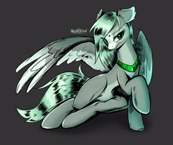 Size: 1920x1606 | Tagged: safe, artist:blazing_stred, imported from derpibooru, oc, oc only, pegasus, pony, collar, female, mare, simple background