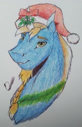 Size: 1208x1862 | Tagged: safe, artist:discbreaker100, imported from derpibooru, oc, oc only, oc:venomous stray, unicorn, bust, christmas, hat, holiday, male, mistletoe, portrait, stallion, tinsel, traditional art