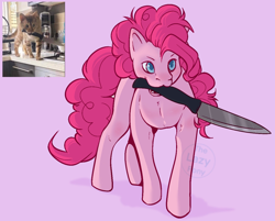 Size: 1914x1536 | Tagged: safe, artist:thelazyponyy, imported from derpibooru, pinkie pie, cat, earth pony, pony, :3, behaving like a cat, female, knife, mare, missing cutie mark, mouth hold, ponified animal photo, simple background, solo