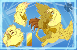 Size: 2380x1540 | Tagged: safe, artist:bagelbytes, imported from derpibooru, oc, oc only, oc:golden plume, griffon, male, reference sheet, solo