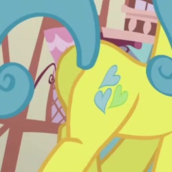 Size: 720x720 | Tagged: safe, imported from derpibooru, screencap, lemon hearts, pony, butt, cropped, pictures of butts, plot