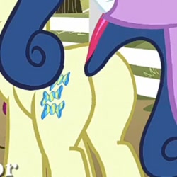 Size: 720x720 | Tagged: safe, imported from derpibooru, screencap, bon bon, sweetie drops, pony, bon butt, butt, cropped, pictures of butts, plot