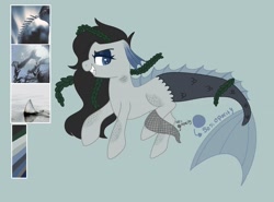 Size: 2144x1588 | Tagged: safe, artist:orcabunnies, imported from derpibooru, oc, oc only, original species, pony, shark, shark pony, reference sheet, solo