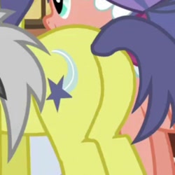 Size: 720x720 | Tagged: safe, imported from derpibooru, screencap, comet tail, pony, butt, cropped, male, pictures of butts, plot, stallion