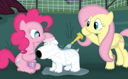 Size: 3524x2174 | Tagged: safe, artist:porygon2z, imported from derpibooru, fluttershy, pinkie pie, dog, earth pony, pegasus, pony, brian griffin, crossover, family guy, outdoors, soap, trio, washing