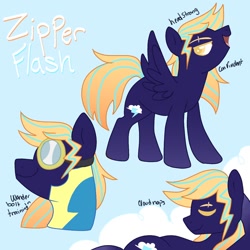 Size: 1300x1300 | Tagged: safe, artist:orcabunnies, imported from derpibooru, oc, oc only, pegasus, pony, reference sheet