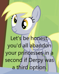 Size: 511x648 | Tagged: safe, edit, edited screencap, imported from derpibooru, screencap, derpy hooves, pegasus, pony, derpibooru, rainbow falls, caption, cropped, image macro, meta, solo, text