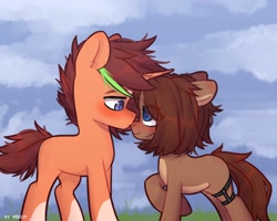 Size: 2500x2000 | Tagged: safe, artist:shelti, imported from derpibooru, oc, oc only, oc:owl, earth pony, unicorn, blushing, cloud, coat markings, colored pupils, commission, countershading, duo, ears back, female, grass, horn, looking at each other, looking at someone, male, mare, messy mane, messy tail, outdoors, raised hoof, shipping, short tail, socks (coat markings), stallion, standing, straight, tail