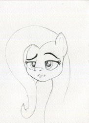 Size: 2960x4055 | Tagged: safe, artist:invalid-david, imported from derpibooru, fluttershy, pegasus, pony, monochrome, pencil drawing, sketch, smiling, smirk, solo, traditional art