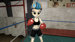 Size: 1920x1080 | Tagged: safe, artist:oatmeal!, imported from derpibooru, indigo zap, human, equestria girls, 3d, accessory swap, athletic, boxing, boxing gloves, boxing ring, clothes, gmod, shorts, solo, sports, sports bra