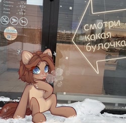 Size: 1011x982 | Tagged: safe, artist:shelti, imported from derpibooru, oc, oc only, oc:owl, earth pony, pony, :p, breath, colored pupils, countershading, cyrillic, daytime, female, mare, outdoors, real life background, sitting, snow, solo, tongue out, translated in the description