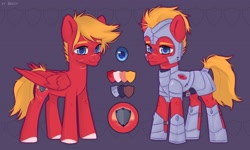 Size: 3228x1943 | Tagged: safe, artist:shelti, imported from derpibooru, oc, oc only, pegasus, pony, armor, colored hooves, colored pupils, commission, folded wings, looking at you, male, purple background, reference sheet, royal guard armor, scar, simple background, smiling, stallion, standing, wings
