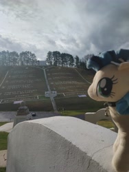 Size: 3468x4624 | Tagged: safe, imported from twibooru, oc, oc:milky way, earth pony, pony, image, needs more jpeg, photo