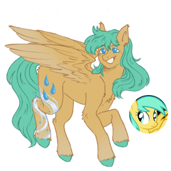 Size: 894x894 | Tagged: safe, artist:kazmuun, imported from derpibooru, sunshower raindrops, pegasus, pony, female, mare, simple background, solo, transparent background