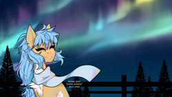 Size: 1920x1080 | Tagged: safe, artist:mari_deer, imported from derpibooru, oc, pony, 2022, aurora borealis, chest fluff, clothes, eyes closed, lights, night, scarf, smiling, solo