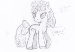 Size: 1237x861 | Tagged: safe, artist:phillnana, imported from derpibooru, oc, earth pony, pony