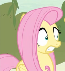 Size: 381x415 | Tagged: safe, imported from derpibooru, screencap, fluttershy, pegasus, pony, sounds of silence, cropped, scared, solo