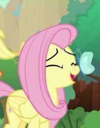 Size: 323x415 | Tagged: safe, imported from derpibooru, screencap, fluttershy, butterfly, pegasus, pony, butterfly on nose, happy, insect on nose