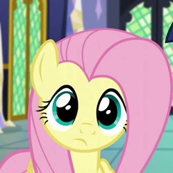 Size: 414x415 | Tagged: safe, imported from derpibooru, screencap, fluttershy, pegasus, pony, the hooffields and mccolts, cropped, looking at you, solo, twilight's castle