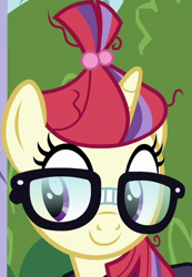 Size: 386x558 | Tagged: safe, imported from derpibooru, screencap, moondancer, pony, unicorn, amending fences, cropped, glasses, happy, smiling, solo