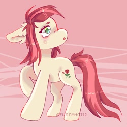 Size: 1000x1000 | Tagged: safe, artist:funnyhat12, imported from derpibooru, roseluck, earth pony, pony, gradient background, solo