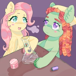 Size: 1500x1500 | Tagged: safe, artist:funnyhat12, imported from derpibooru, fluttershy, tree hugger, earth pony, pegasus, pony, bong, dreadlocks, drug use, drugs, duo, female, flutterhigh, gradient background, heart, heart eyes, high, mare, table, wingding eyes