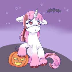 Size: 1500x1500 | Tagged: safe, artist:funnyhat12, imported from derpibooru, oc, oc only, oc:strawberry smoothie (funnyhat12), bat, unicorn, gradient background, halloween, holiday, jack-o-lantern, pumpkin, sitting, solo