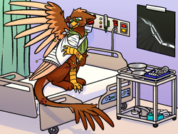 Size: 960x720 | Tagged: safe, artist:thornshadow, imported from derpibooru, oc, oc only, oc:pavlos, griffon, bed, broken bone, broken wing, cast, eared griffon, griffon oc, hospital, hospital bed, injured, pain, sad, sling, wing cast, wing fluff, wing sling, wings, x-ray